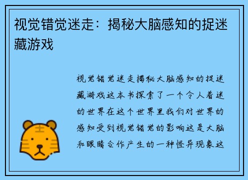 视觉错觉迷走：揭秘大脑感知的捉迷藏游戏